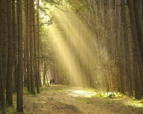 An individual enjoying a relaxing evening walk in a green residential community park during sunset